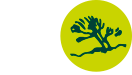 ENT